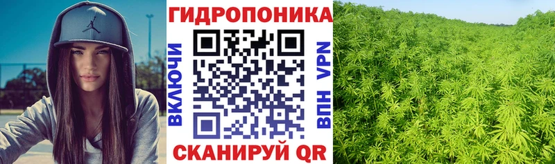 KRAKEN Красновишерск Канабис White Widow